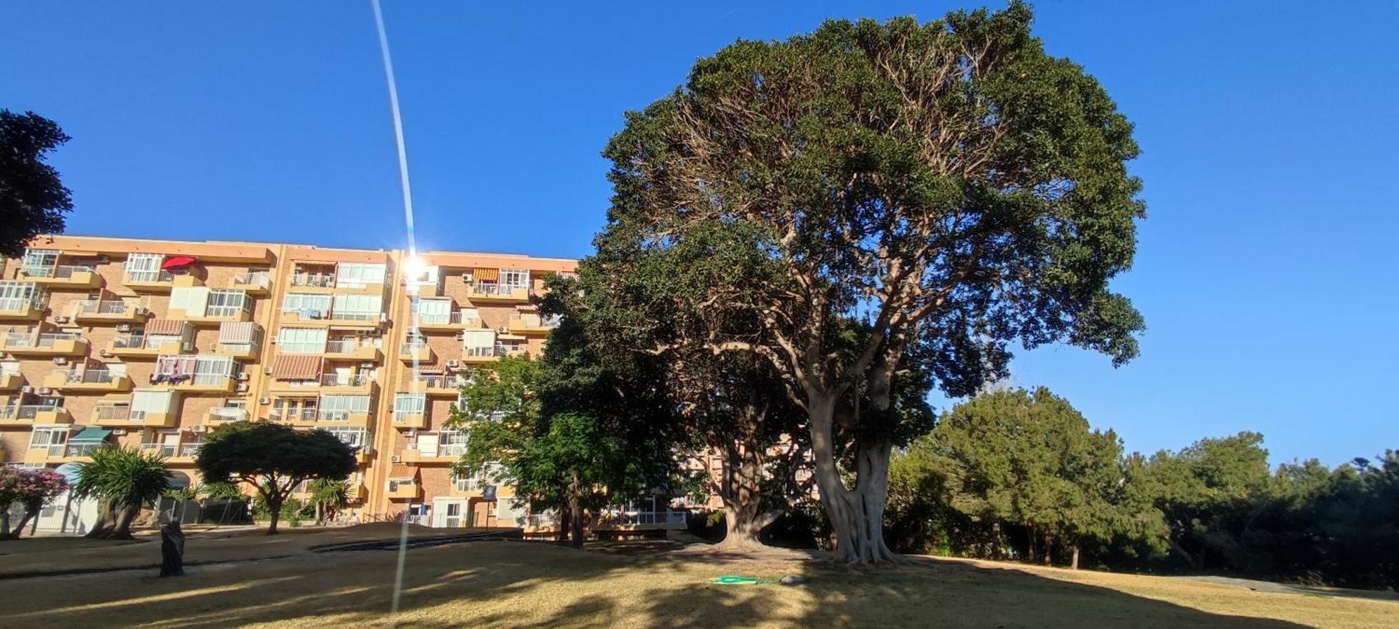 Apartamento Aguila, Arroyo De La Miel, Benalmádena Dış mekan fotoğraf