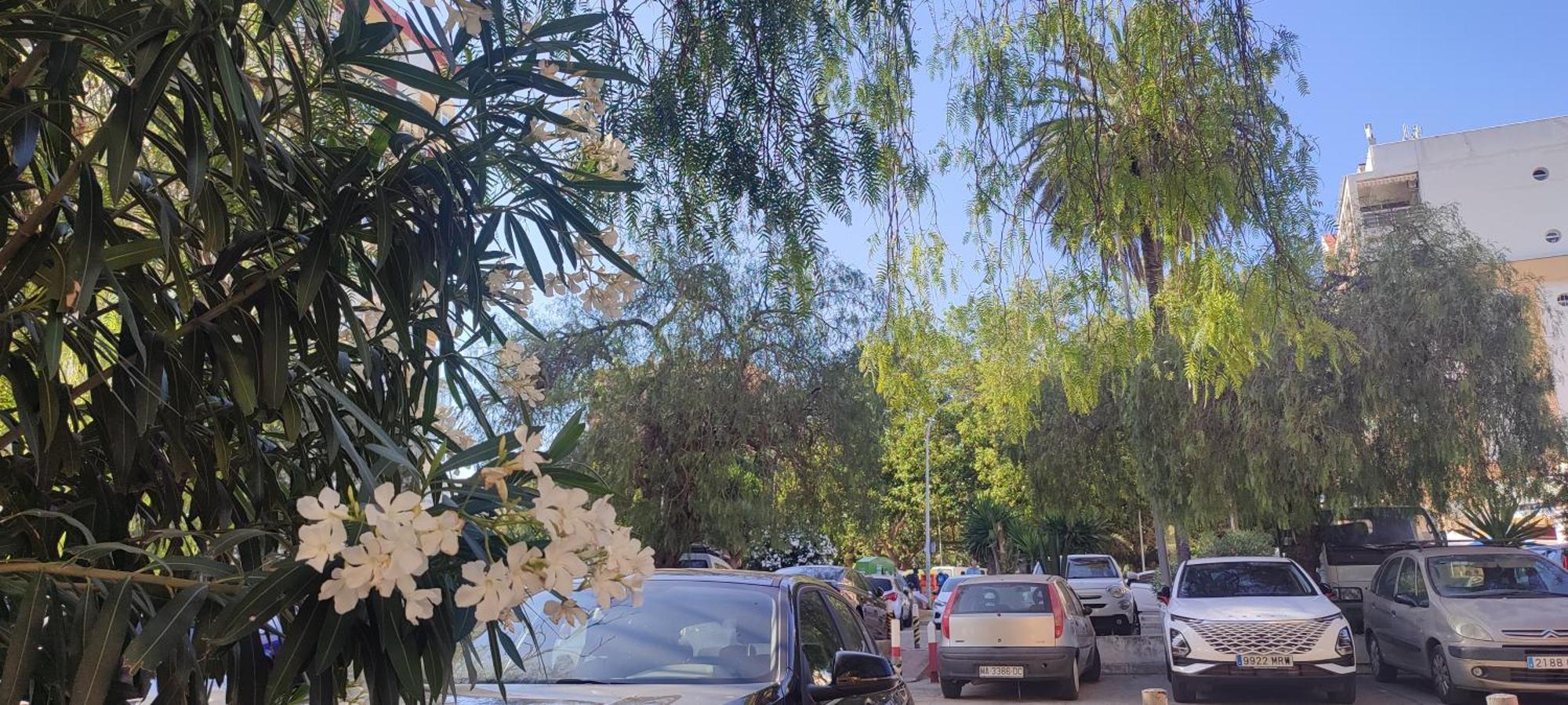 Apartamento Aguila, Arroyo De La Miel, Benalmádena Dış mekan fotoğraf